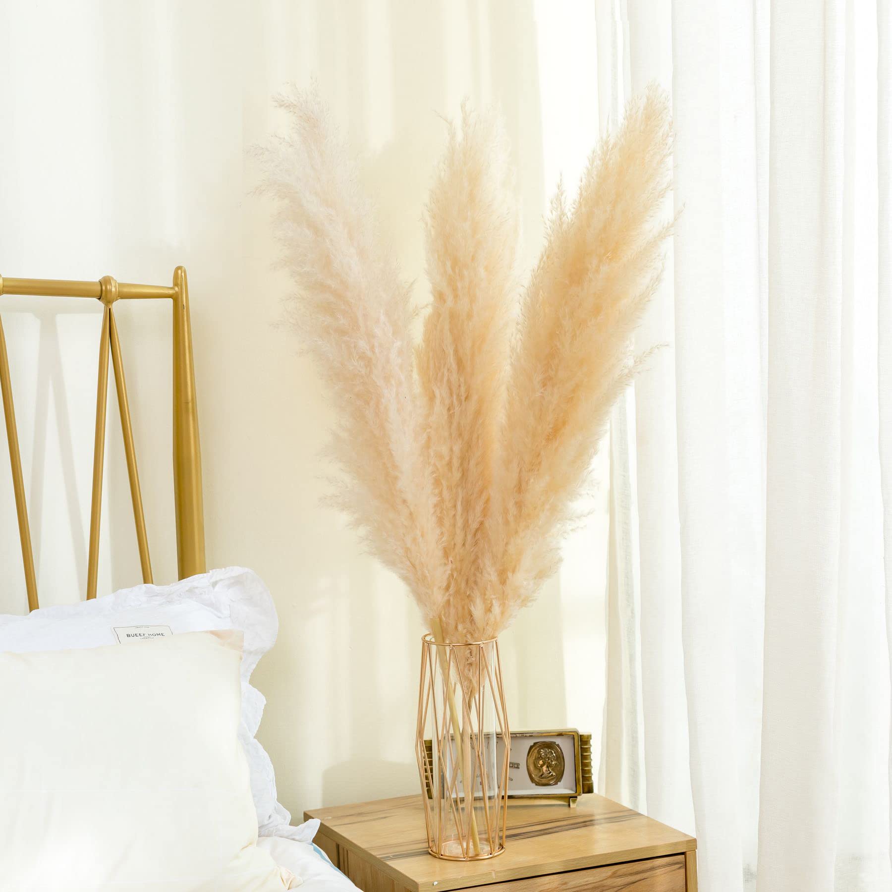 Buy Pampas Grass 48 inch(4ft) Pampas Grass Decor Tall3 Stems Dried