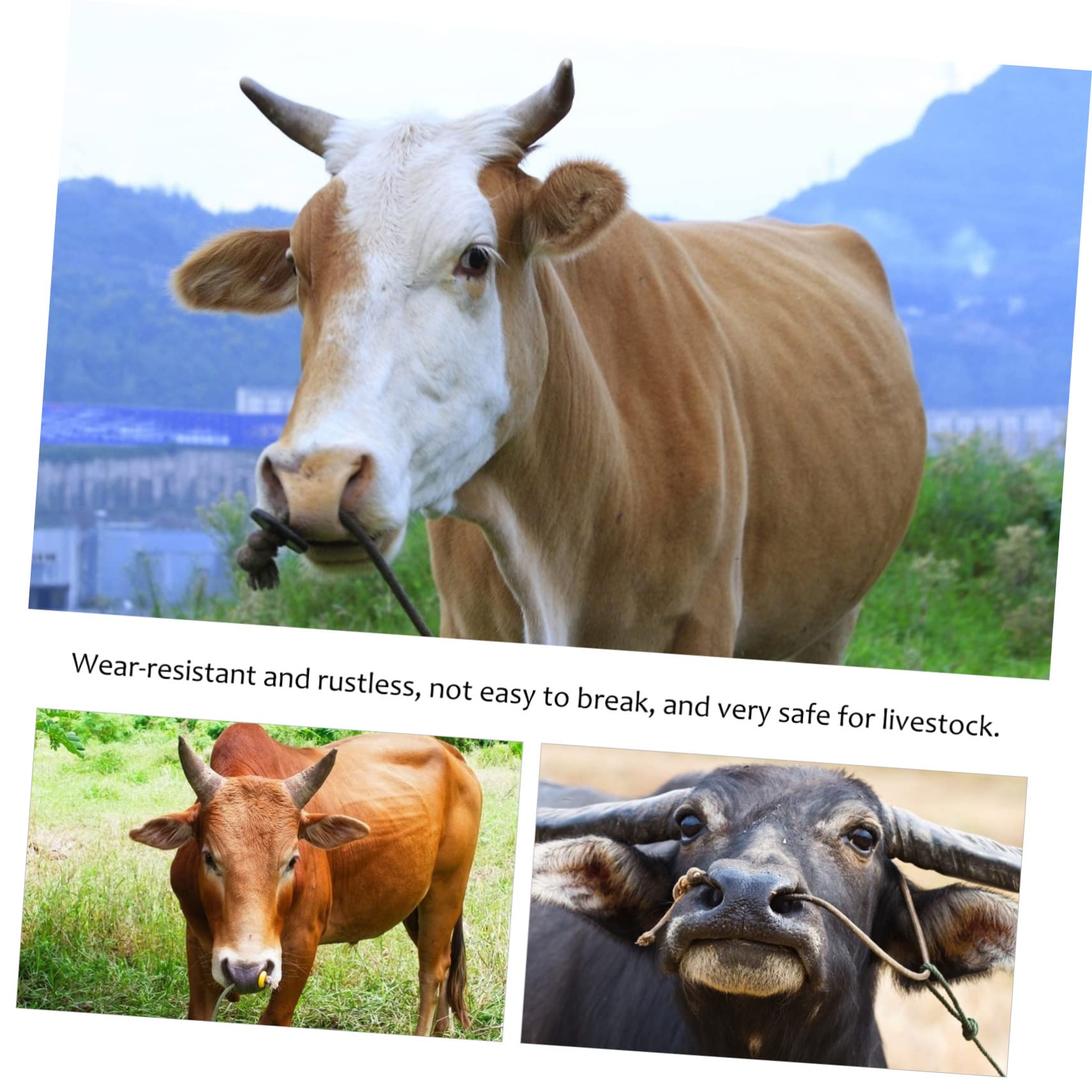 jojofuny 1pezzi Pinze per Anelli Nasali per Bovini Strumenti Veterinari Pinze per Installazione di Anelli Nasali Forniture per Bovini Impugnatura Ergonomica in Inossidabile