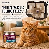 Ver la foto 3