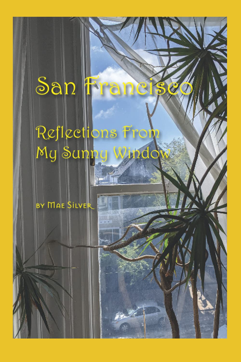San Francisco: Reflections From My Sunny Window