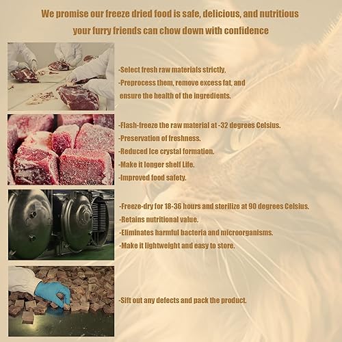Miniatura 4 de Alimentos liofilizados para gatos crudos  100% sin granos de carne  Natural Balance limitado ingrediente limitado Alimento para gatos alto en