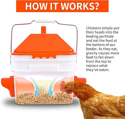 Miniatura 2 de GUEOQTC Comedero para pollo de 10 libras con 4 puertos, alimentador impermeable para aves de corral para hasta 10 pollos adultos o 15 pollitos