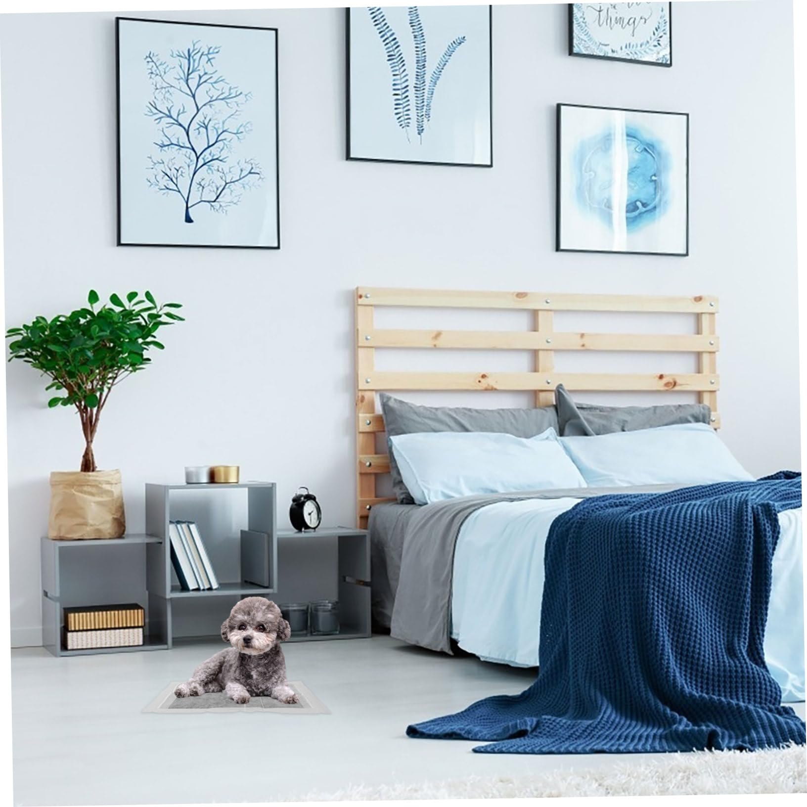 ifundom Almohadillas Desechables para Orina de Mascotas Carbón de Bambú, Absorbentes y Transpirables, Tamaño 33x45 Cm, para Entrenamiento y Control Higiénico de Perros, Gatos y Mascotas Pequeñas