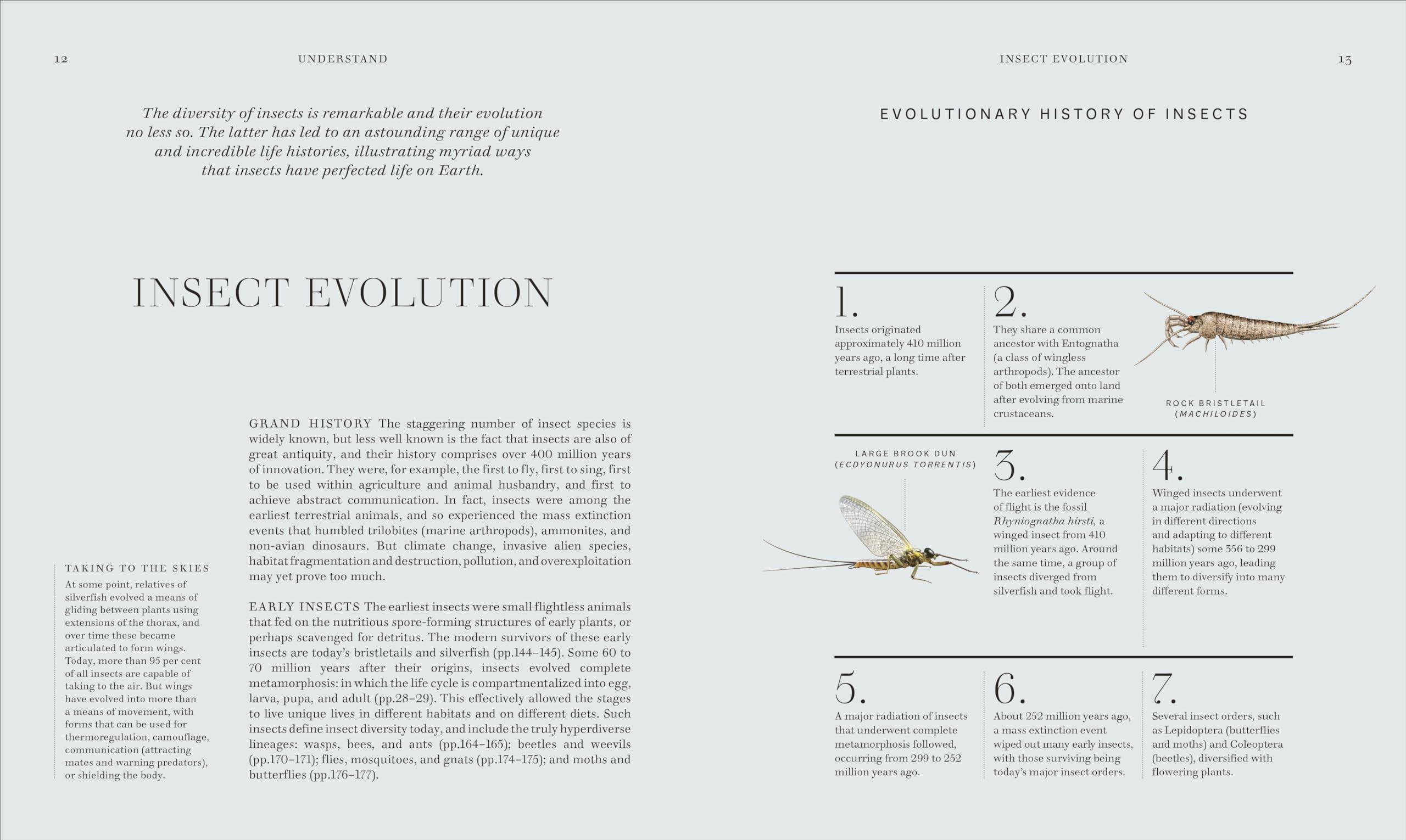RES Insects: Discover the Science and Secrets Behind the World of Insects