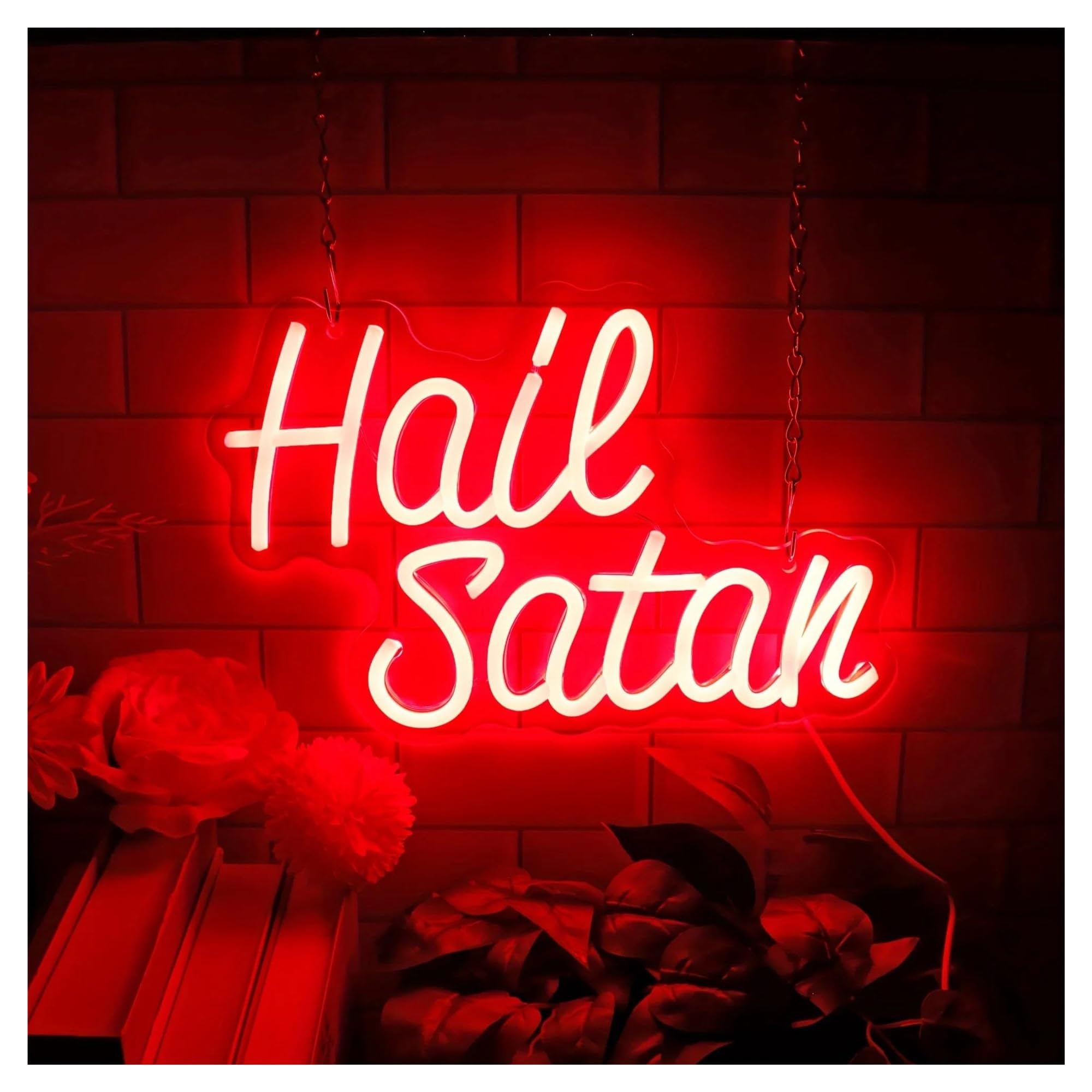 LEMST Signs Lamp Hail Satan Neon Signs Light Dimmable USB Powered for Man Cave Home Bar Store Club Bistro Sign Illuminated 31cmx21cm