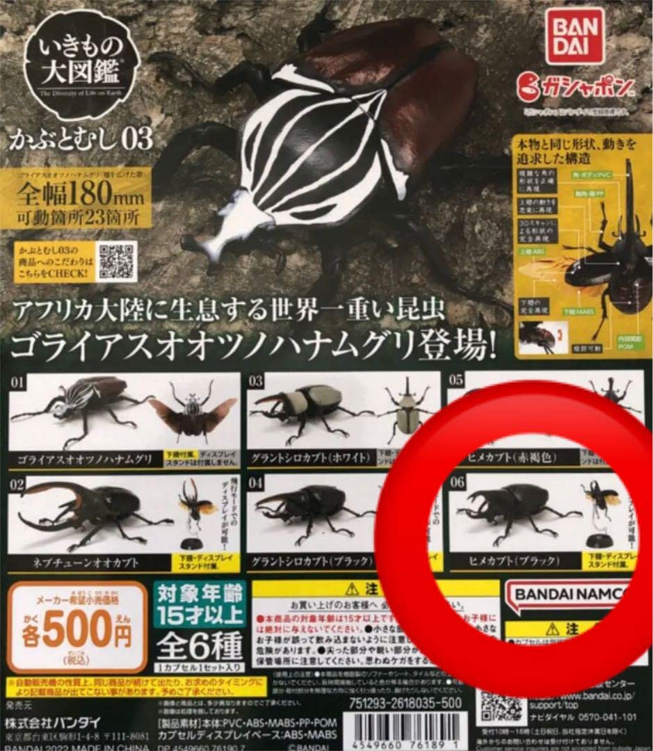 Amazon.co.jp: いきもの大図鑑 かぶとむし03 ヒメカブト