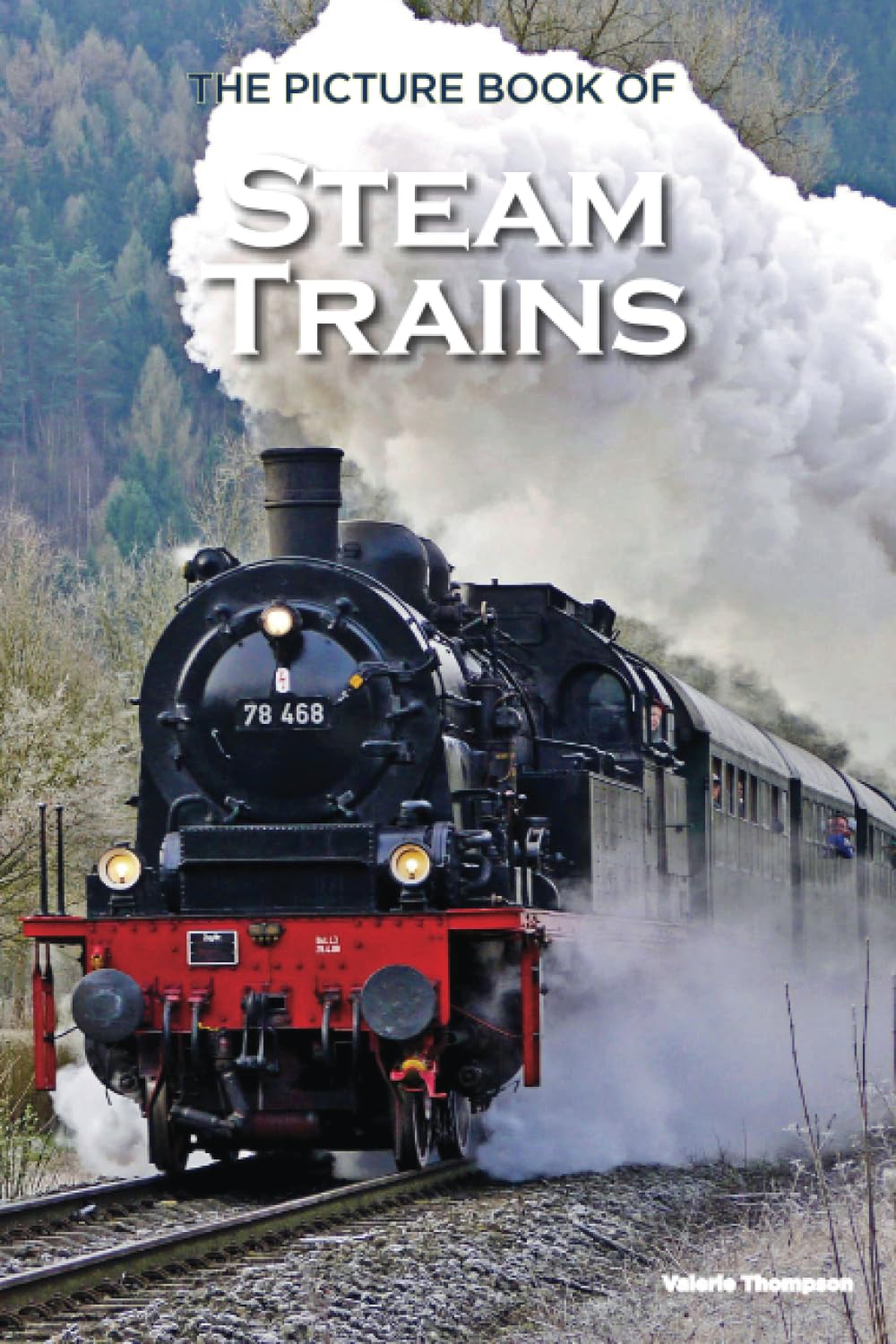 The Picture Book of Steam Trains: Activity for Seniors with Dementia, Alzheimers, Impaired Memory, Aging, Caregivers (Discreet Picture Book)