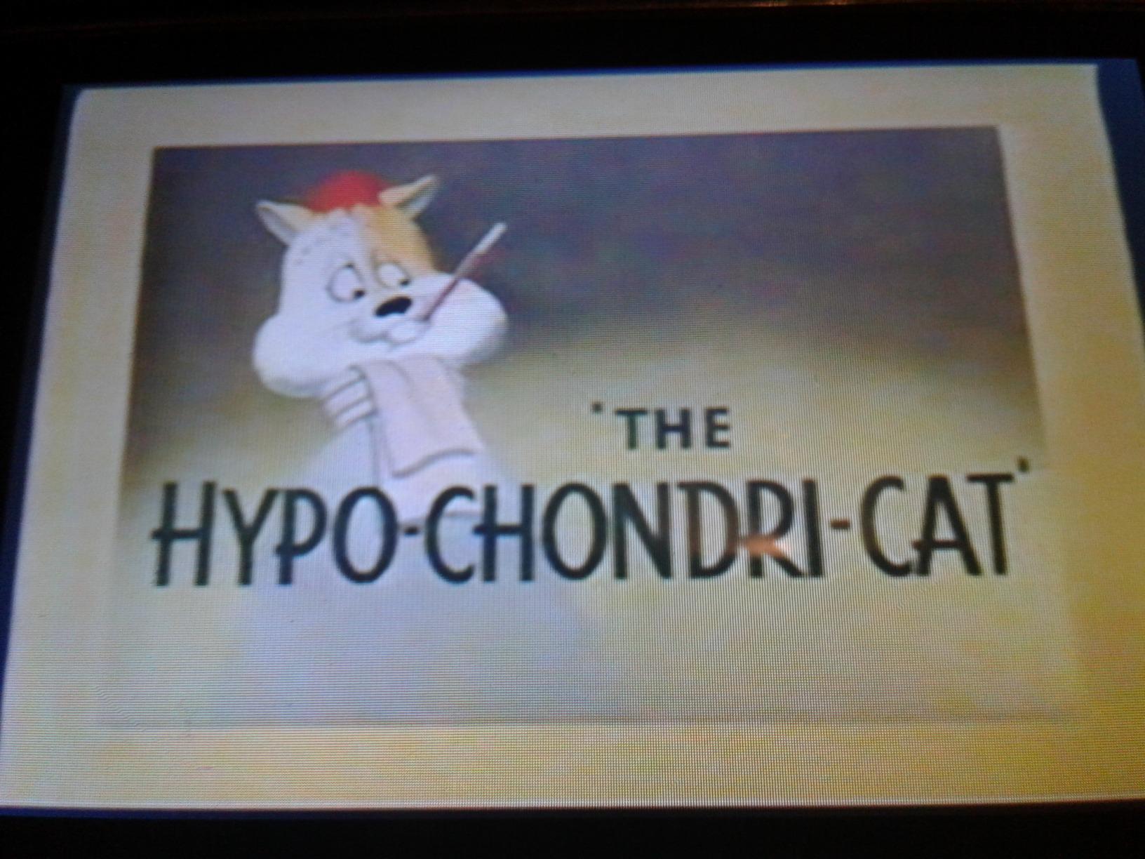 Foghorn leghorn cartoons