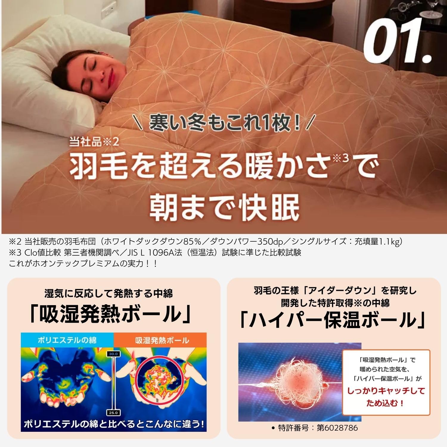 トゥルースリーパー ホオンテック掛け布団プレミアム 専用カバーセット 