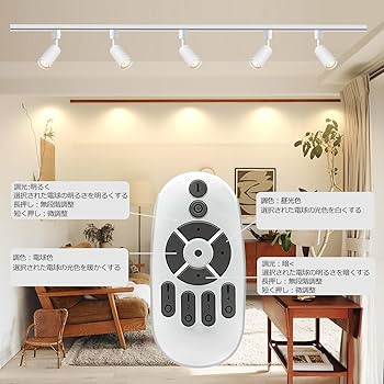 大光電機　ライティングレール用　 LED スポットライト　10台セット 楽天市場】スポットライト ダクトレールライト 10個セット LED一