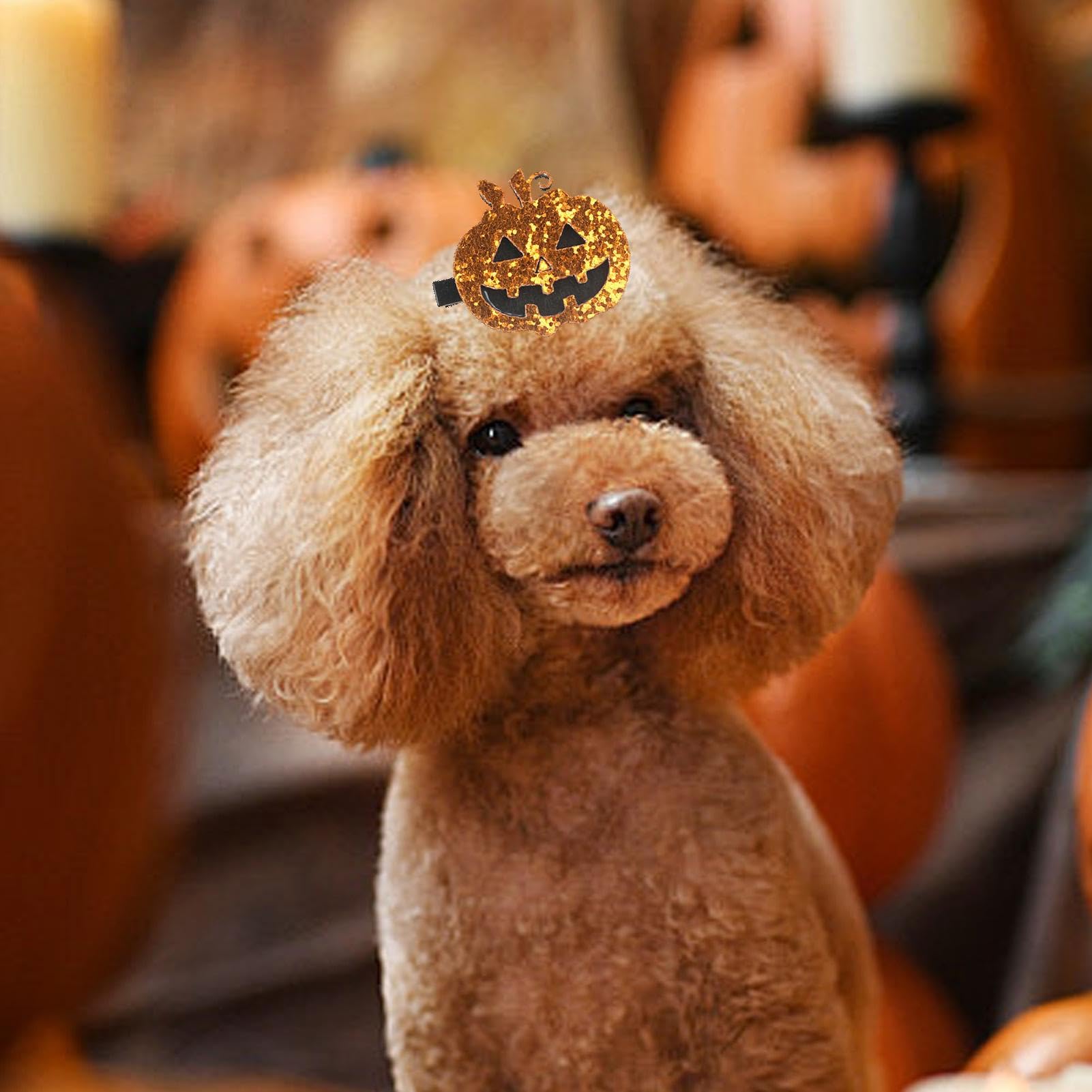 10 Fiocchi Per Capelli Cani - Accessori Carini Per Animali Piccoli - Foto 14