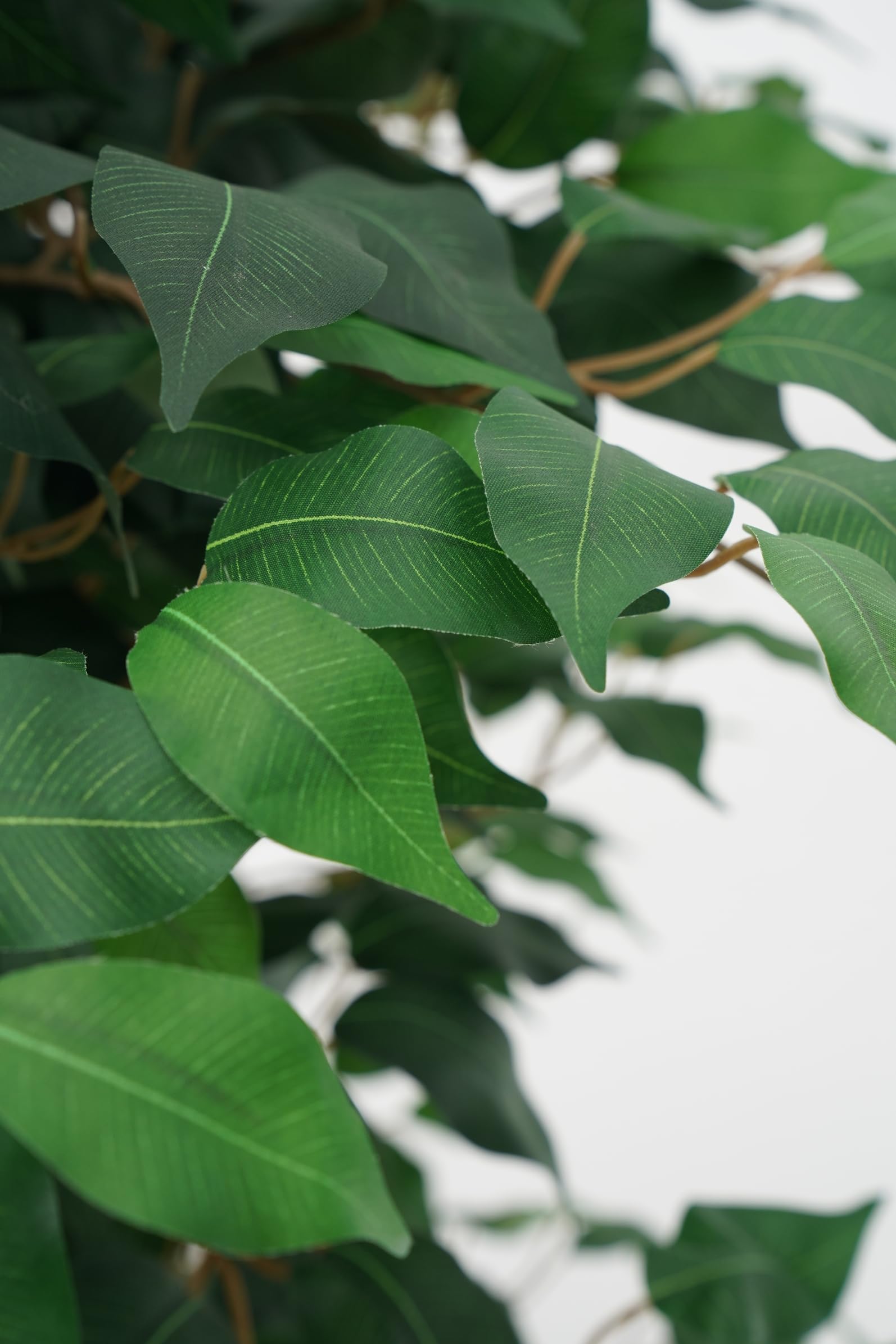 Ficus Benjamin Pianta Sintetica Finta Con Tronchi Intrecciati Legno Naturale e Foglie Poliestere Seta (Ficus-Benjamin 150cm)