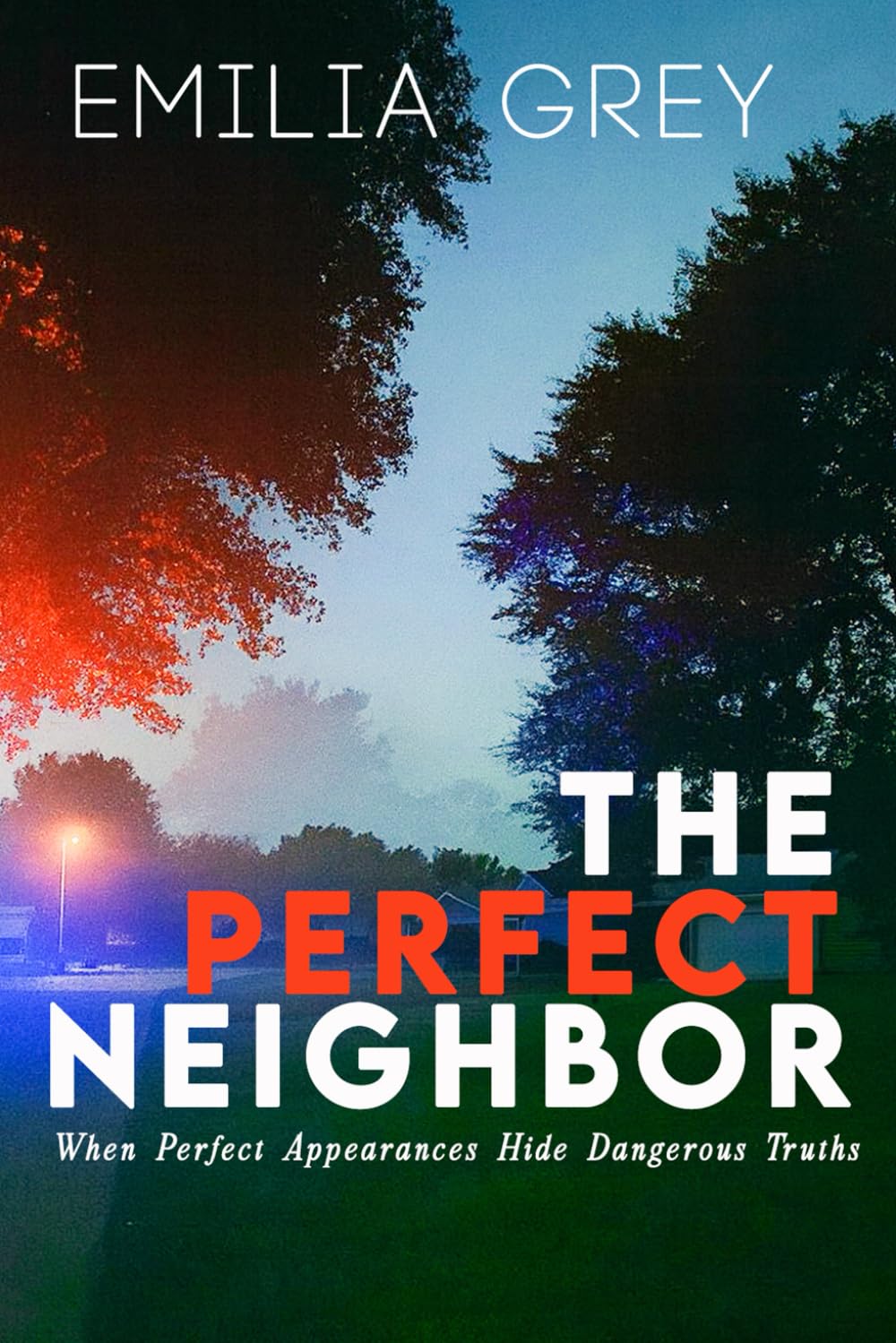 The Perfect Neighbor: When Perfect Appearances Hide Dangerous Truths