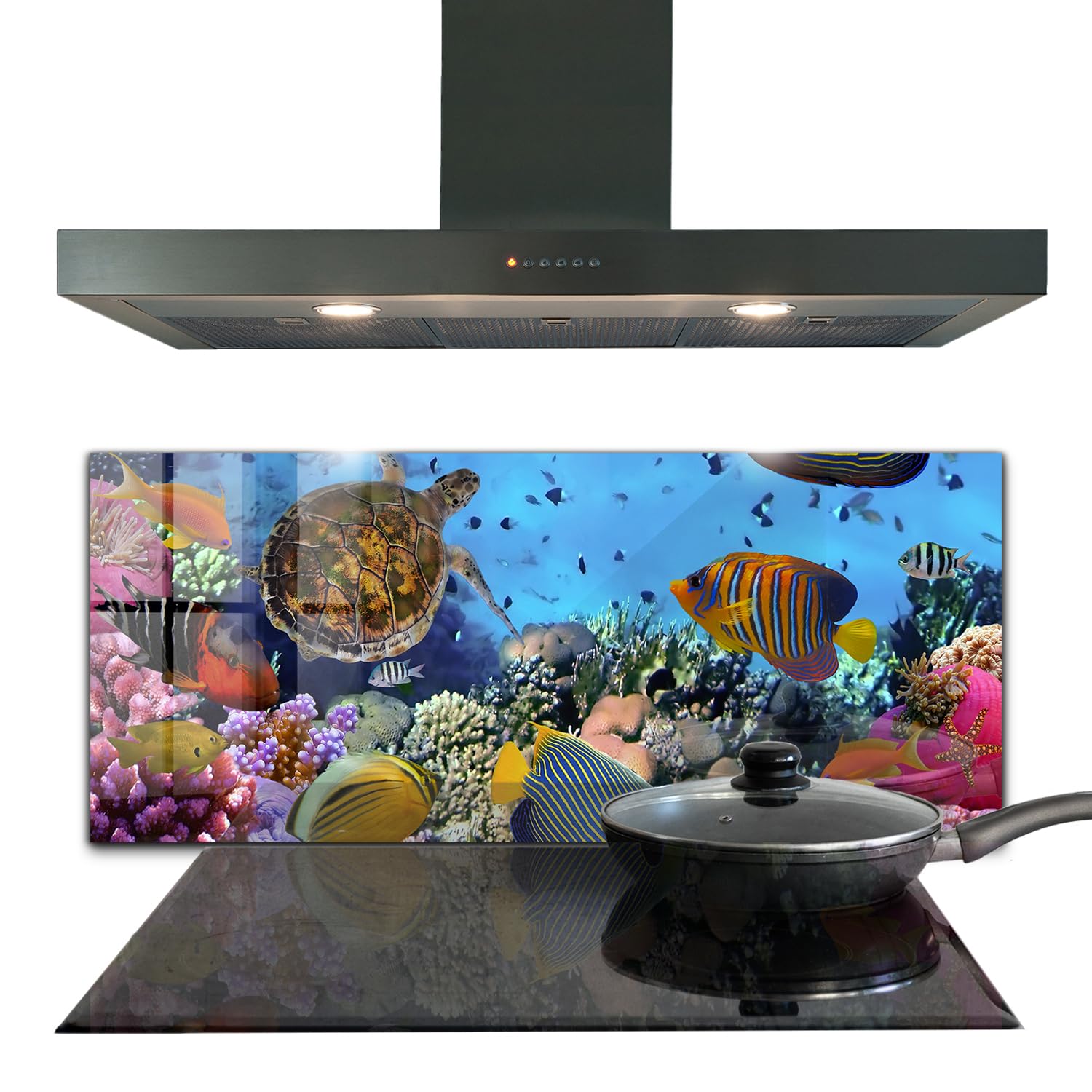Crédence en verre trempé Wallfluent Coral Caribbean 125x50 cm pour une décoration haut de gamme