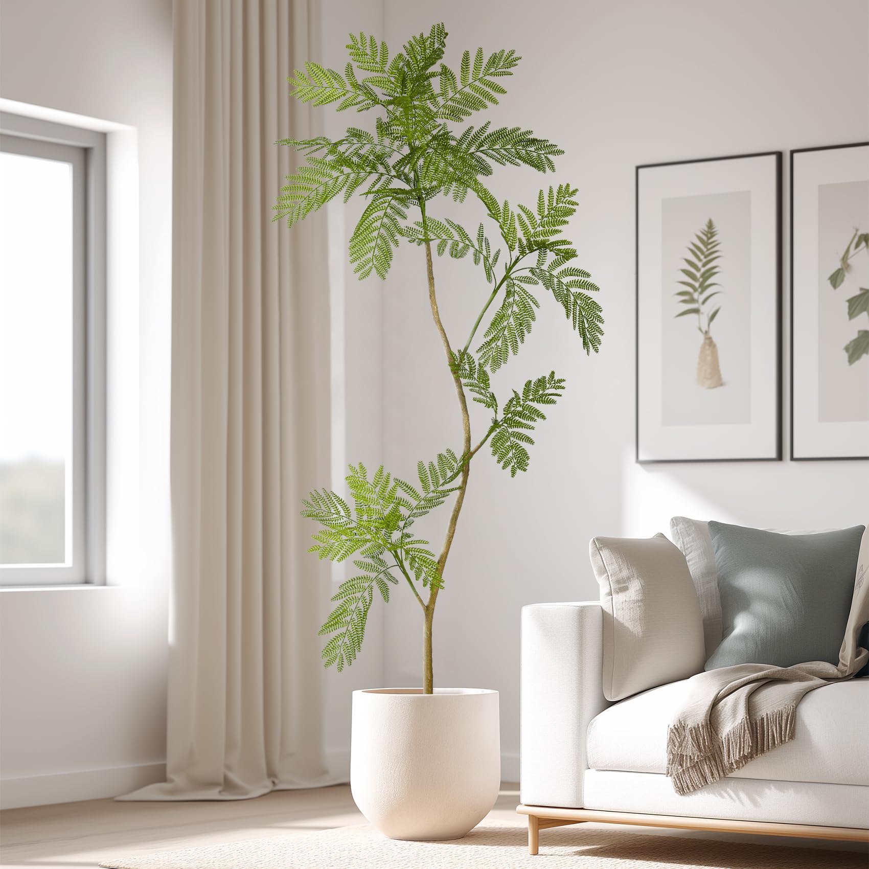 Bailikang 5.7FT Faux Jacaranda