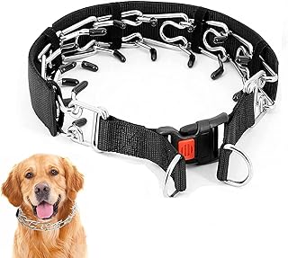 amazon dog pinch collars