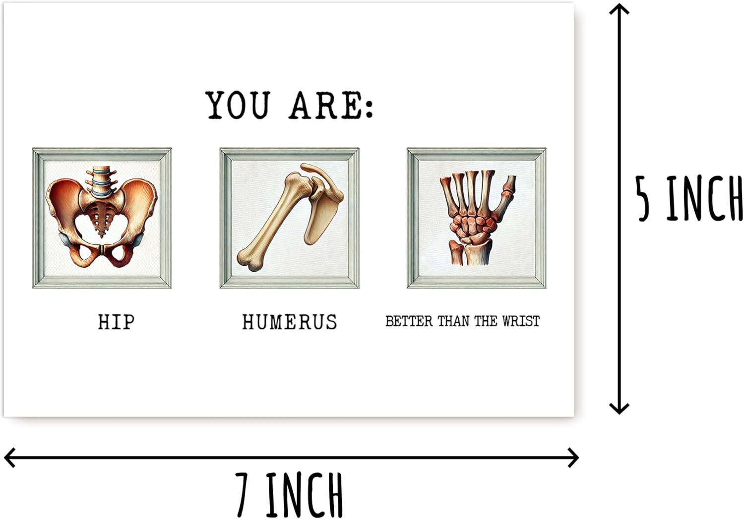 You Are Hip Card - Humerus Card - Greeting - Unique - Orthopedic Doctor - Grad Medical - Gift For Birthday - Image 2