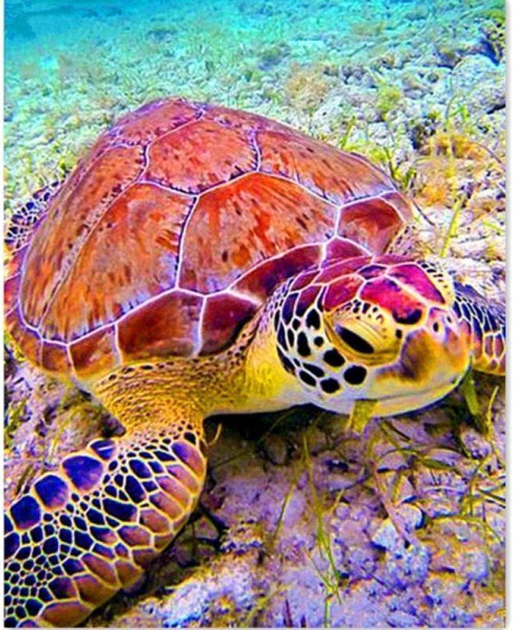 Canevas Broderie Point De Croix Kit Complet Adulte Debutant, Fleurs Tournesol Imprimé 11Ct Point De Croix Broderie Kit Complet Travail Manuel Couture Couture À Tricoter Pour Adultes Aiguille Mag