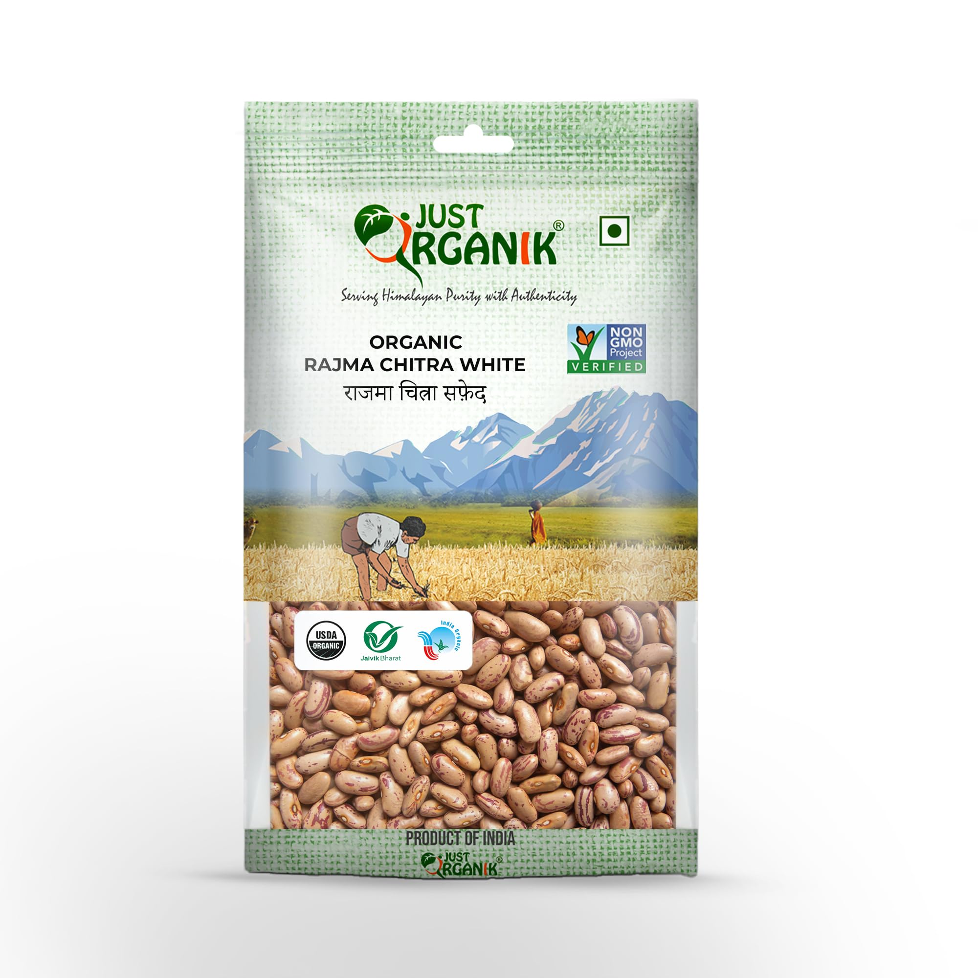 Just Organik - Organic Rajma white 1 kg, Rajma chitra| 100% Organic | White Kidney Beans 1kg | Pinto Beans | Himalayan Rajma | Rajma 1kg | Rajmah | Rajma organic | Rajma Pantry 1kg whole| (B0D32W6VCJ) Amazon Price History, Amazon Price Tracker
