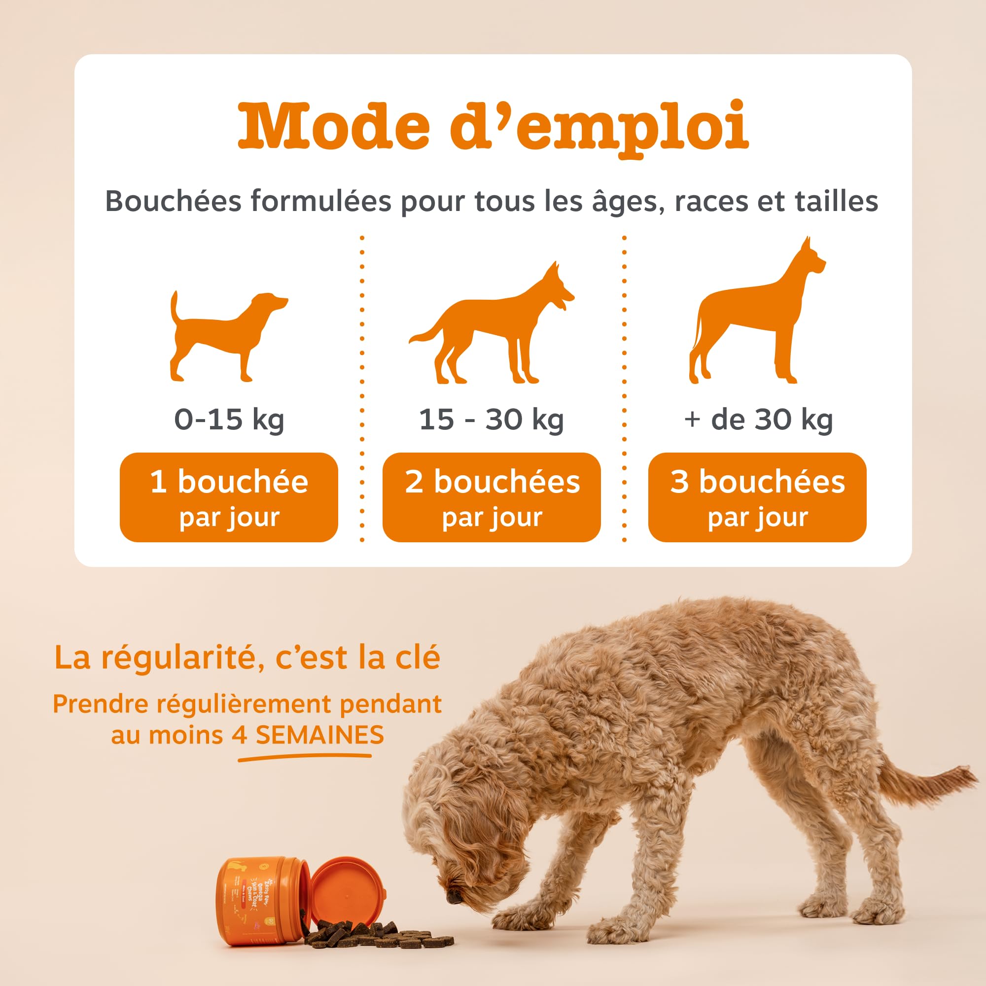 Zesty Paws Santé Peau et Pelage pour Chiens | Soutien Peau Saine et Pelage Brillant | Compléments pour Chiens sous Forme de Bouchée Gourmande | Aliments Complémentaires| Huile de Poisson - 90 unités