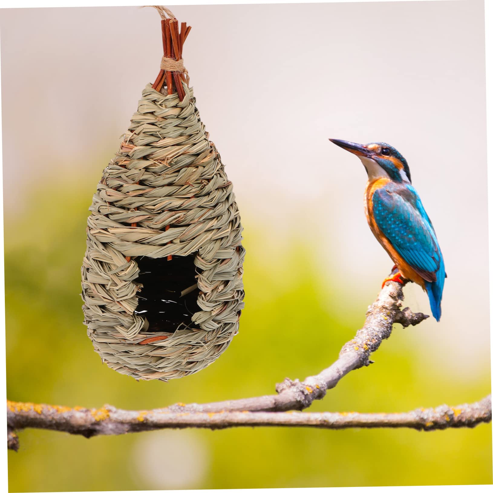 VANZACK 6piezas Casita De Pájaros Tejida Mano Nido para Aves De Césped Natural Decoración Creativa y Acogedora para Jardín y Balcón