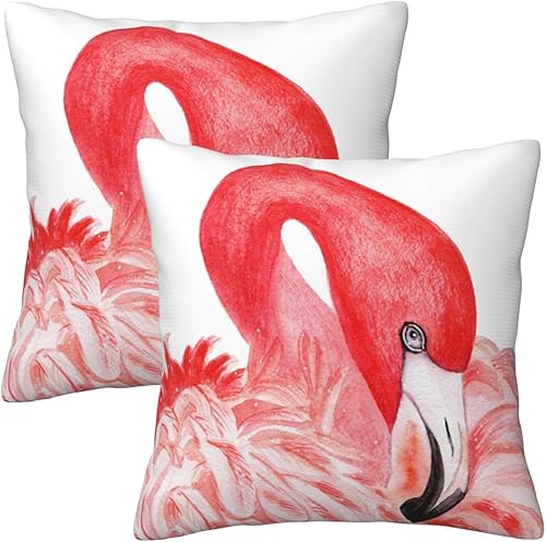 Juego de 2 fundas de almohada cuadradas suaves para sofá, decoración del hogar, 18 x 18 pulgadas