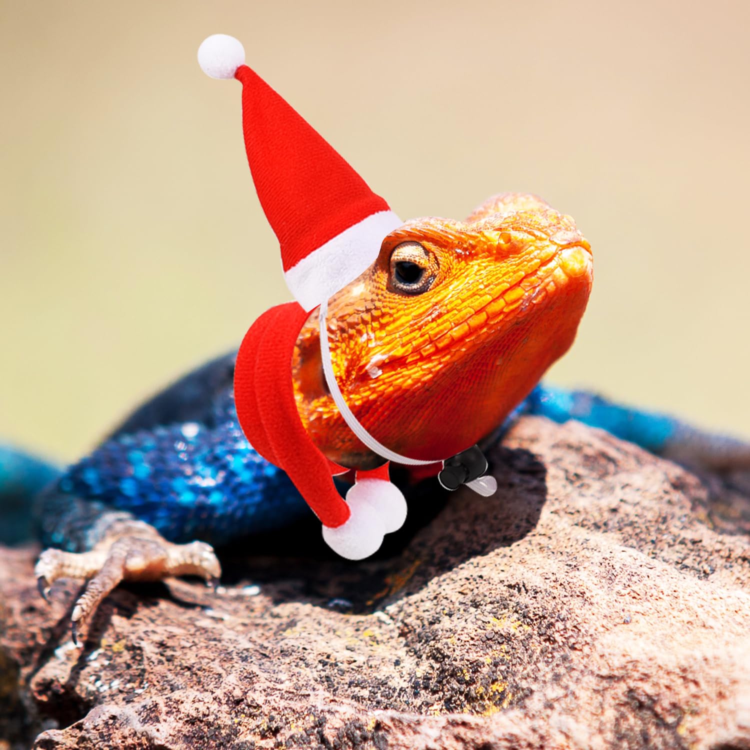 HIXNUG 2Pcs Reptile Lizard Christmas Outfit - Santa Hat with Scarf - Red Cute Xmas Pet Clothing for Xmas Outfit Accessories - Image 4