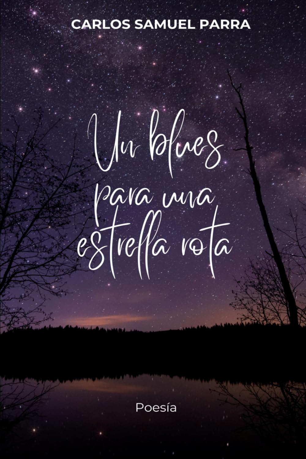 Un blues para una estrella rota