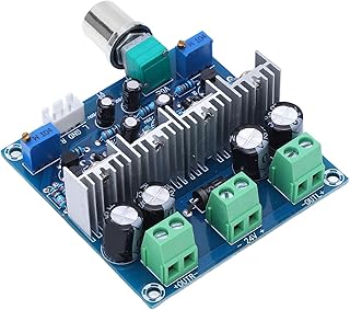 Tgoon Circuit Power Amplifier Module, Audio Amplifier Circuit Board Self Protection DC24V 2A Easy to Install Reliable for Active Speakers