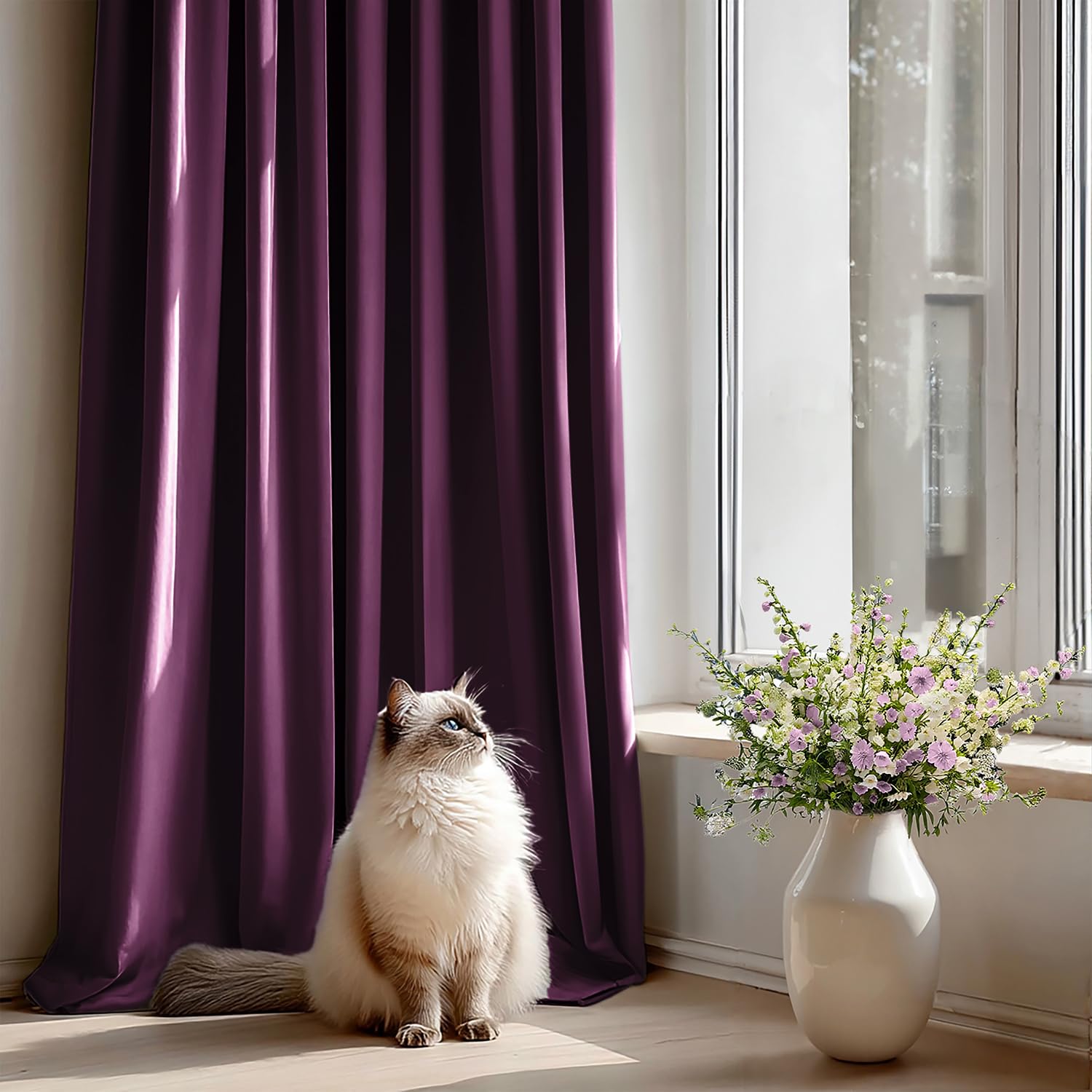 View 5