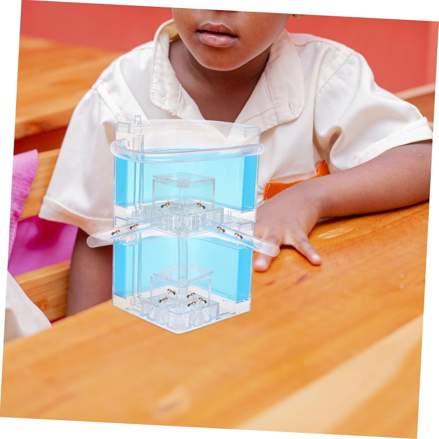 Ant Climbing Farm Ant Observe Box Spacious Villa for Interactive Play Science Experiments Unique Learning Experience Their Habitat