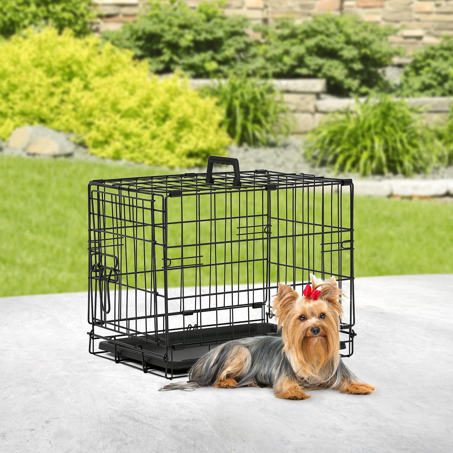 https://m.media-amazon.com/images/I/719nNJKZ4IL.jpg