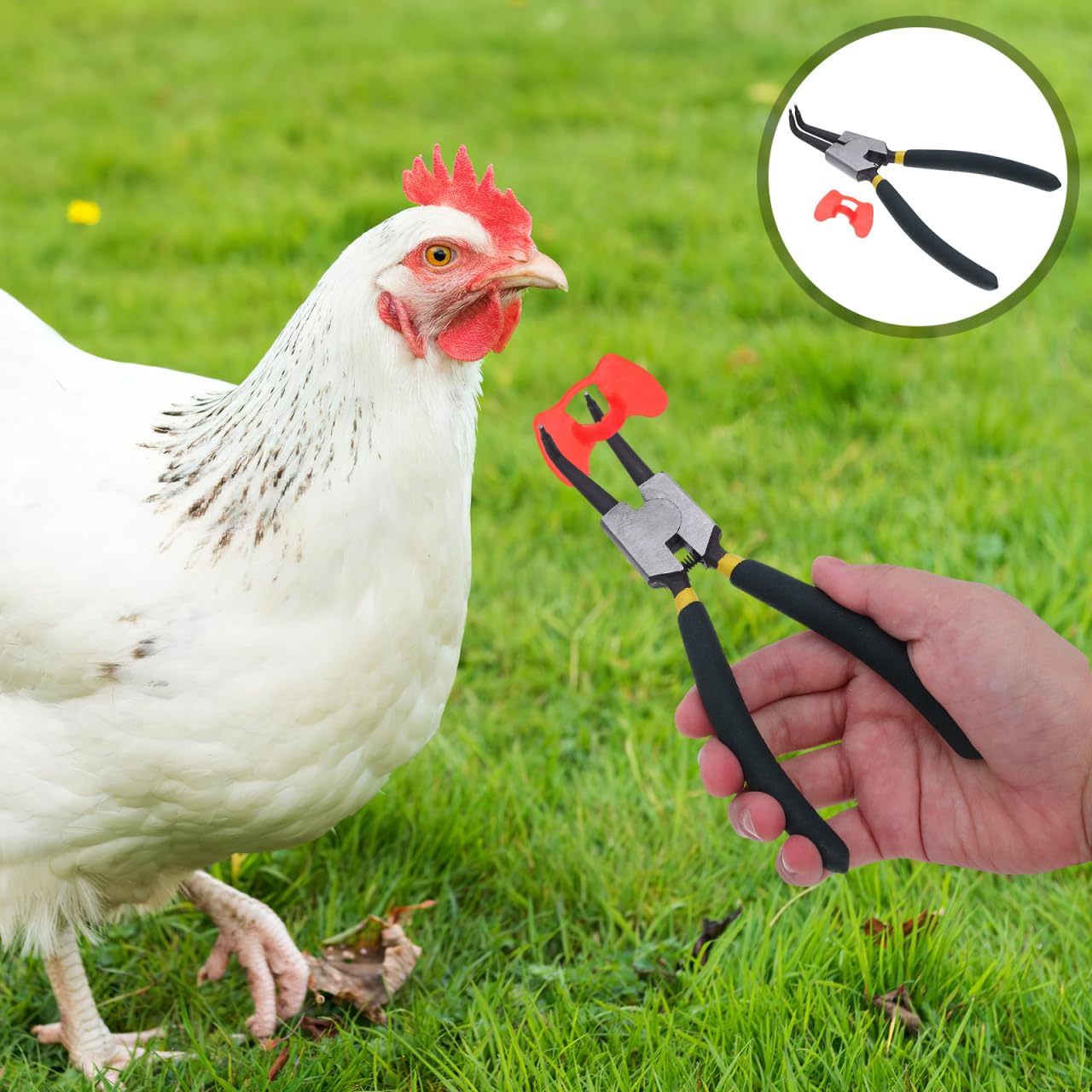 Happyyami Lunettes Anti-Picage pour Poules Outils De Contrôle De Picage De Poulet en Plastique avec Protection Oculaire Pratique pour Volaille Domestique