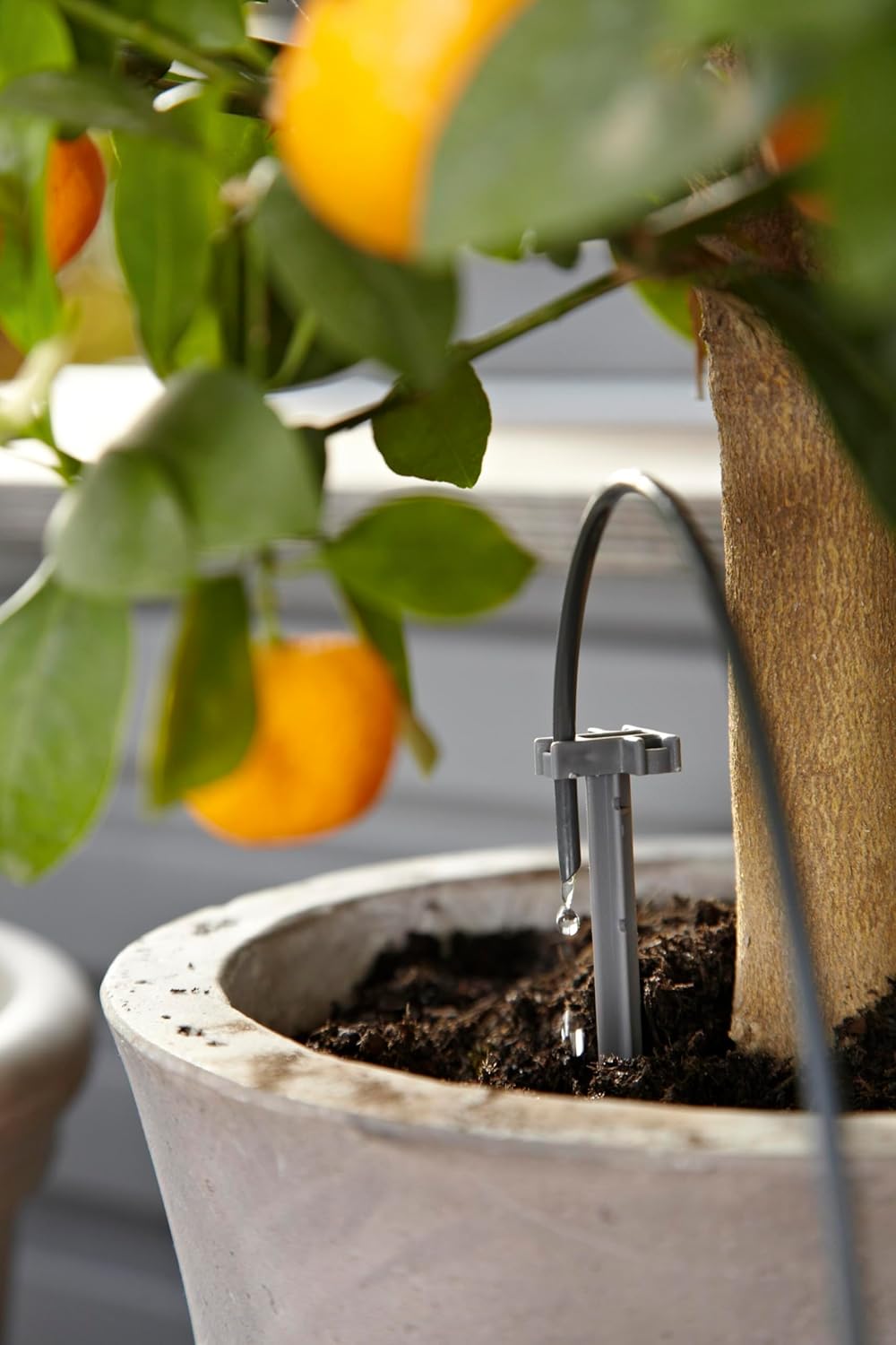 Gardena City Gardening Holiday Watering Set: Plant-Watering Set for Indoors and Outdoors, Individual Watering of Up to 36 Plants (1265-20)