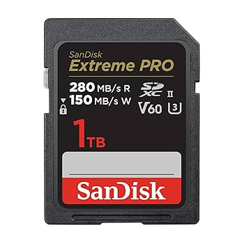 HIBY R6 PRO II（ブラック）＋サンディスク1TbマイクロSDカード 719nTxFid2L._UF350,350_QL80_.jpg