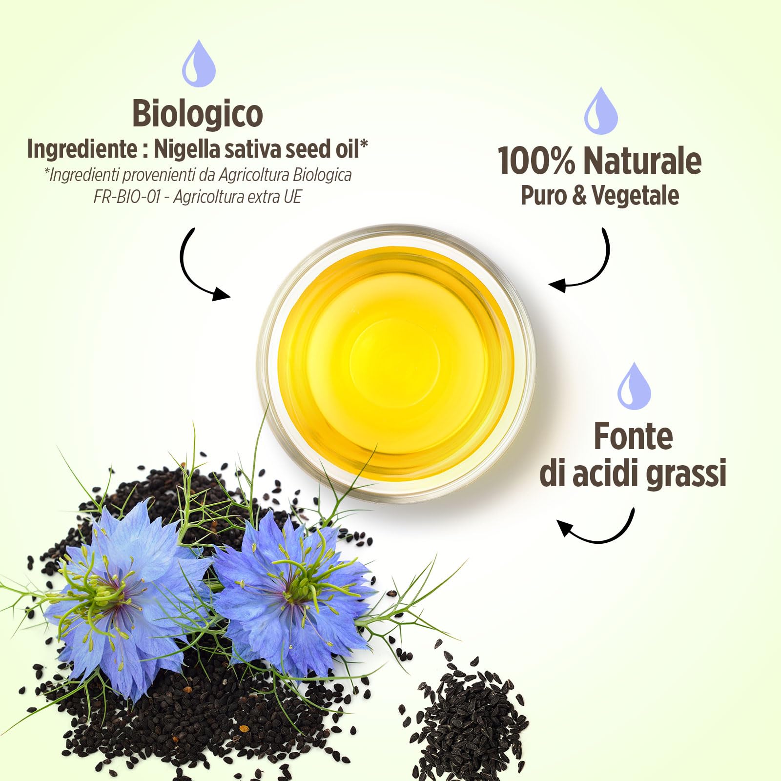 Olio di Cumino Nero Biologico 500 ml - 100% Pure, naturale e Pressato a freddo
