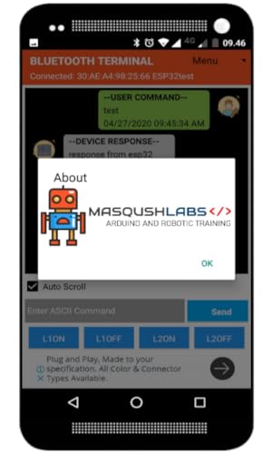 Bluetooth Terminal Arduino
