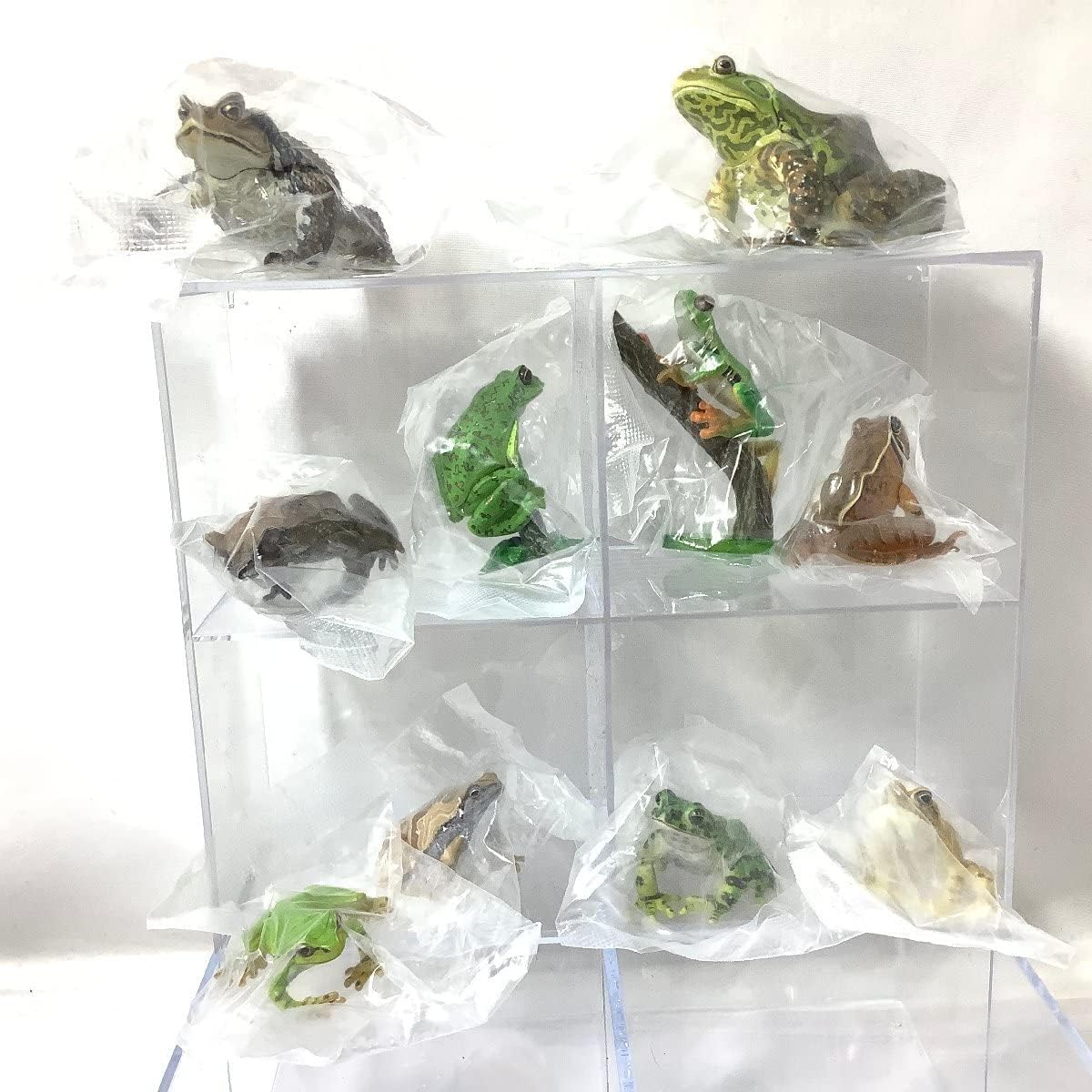内袋未開封 10種セット 原色図鑑シリーズ19 原色両生類カエル図鑑 新改訂版 ニホンアマガエル ウシガエル ミツヅノコノハガエル