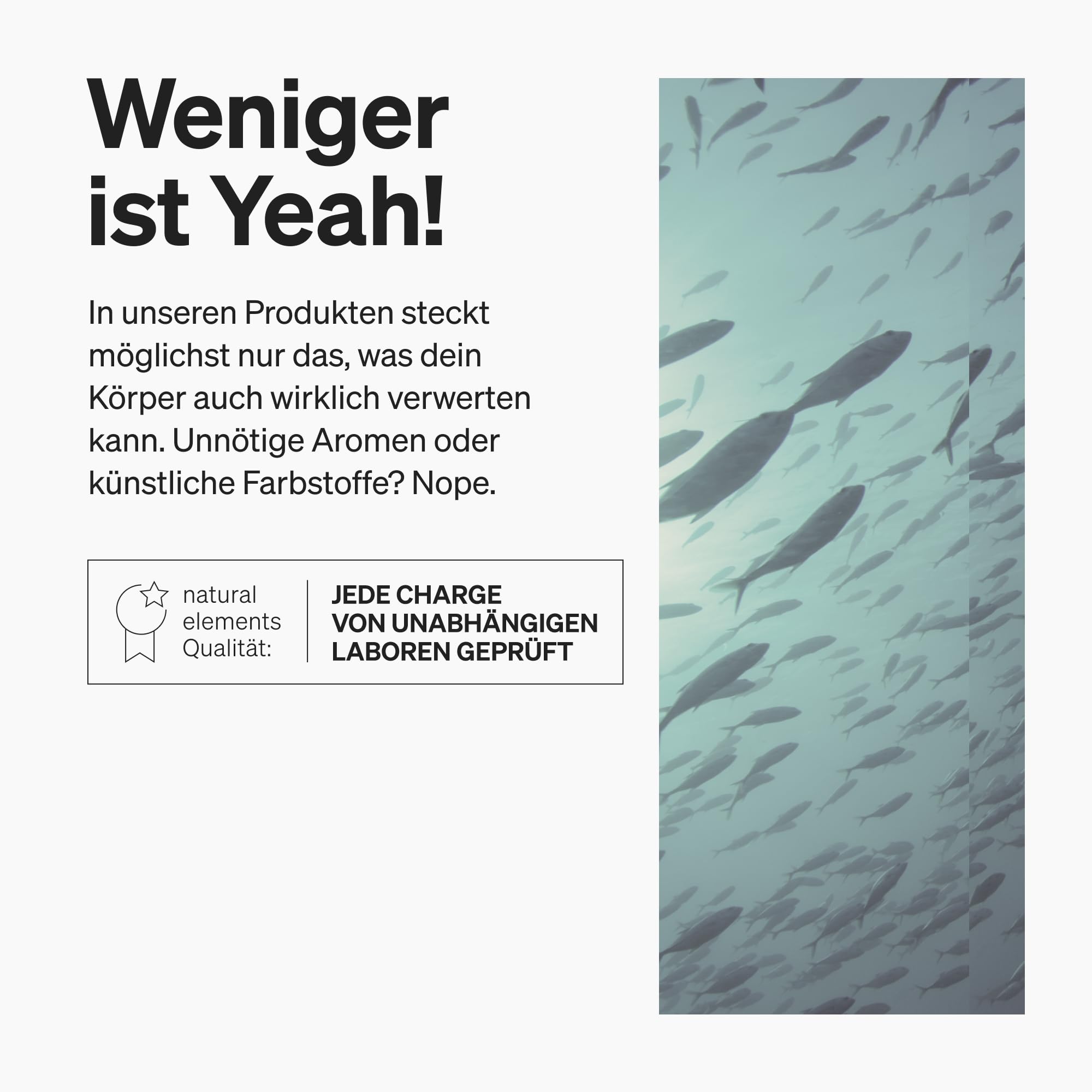 natural elements Omega 3 vegan aus Algenöl - 90 Kapseln - Hochdosiert mit hochwertigem EPA und DHA (in Triglycerid-Form) - Omega-3 für Veganer, Laborgeprüft, nachhaltig und von Natur aus schadstoffarm
