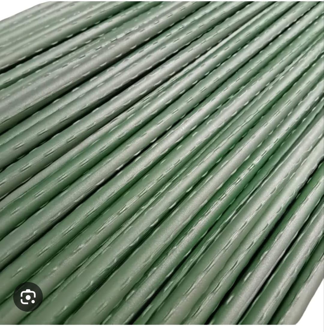 Generico Set di 20 Supporti per Piante – Tutori in Acciaio Plastificato di Varie Misure – Pali per Pomodori, Bastoni e Paletti per Orto e Giardinaggio – Accessori per Vasi e Fioraio (180)