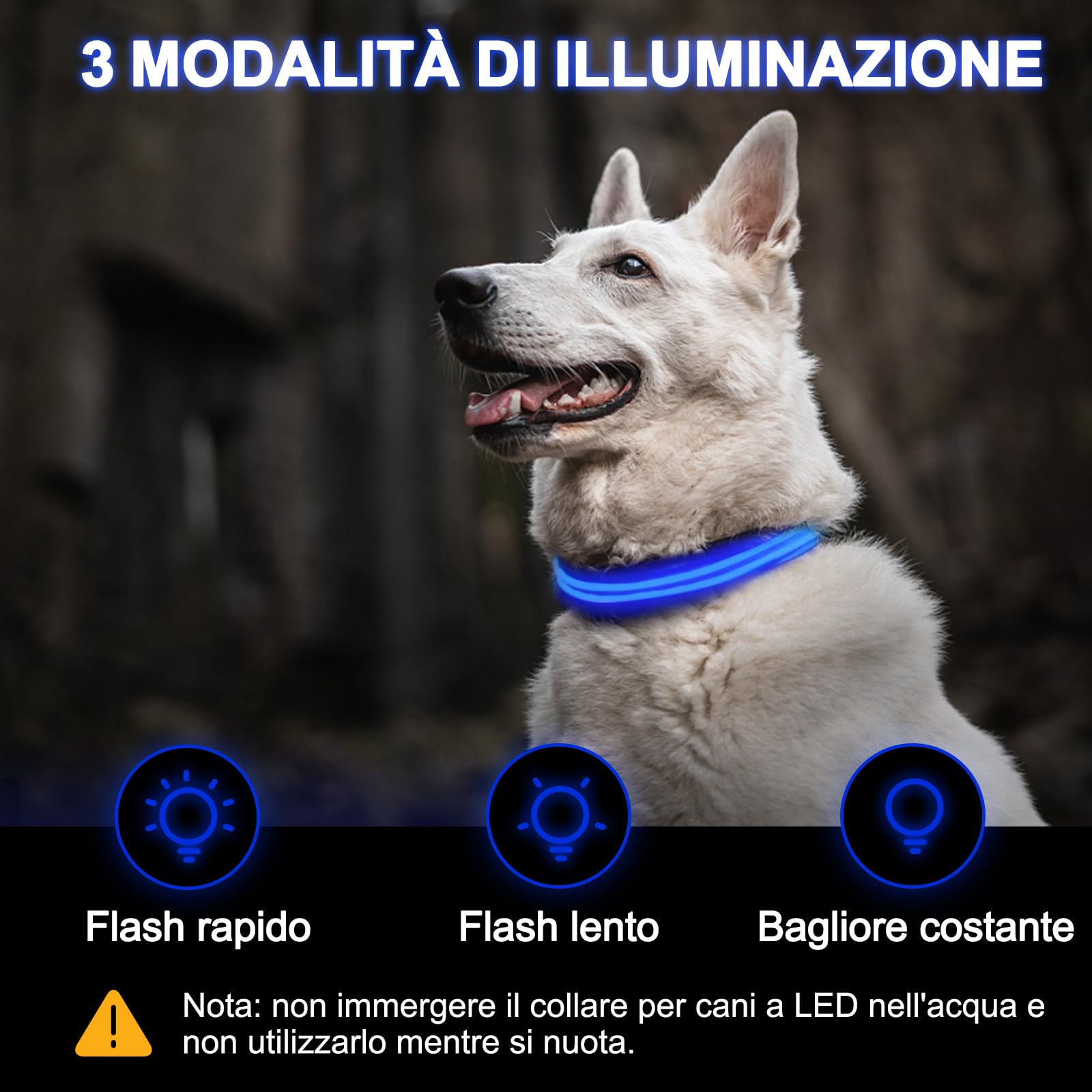 Nepfaivy Collare Luminoso per Cani Ricaricabile - Collare per Cani a Led con Lunghezza Regolabile, 3 Modalità di Illuminazione per la Sicurezza Notturna, Blu