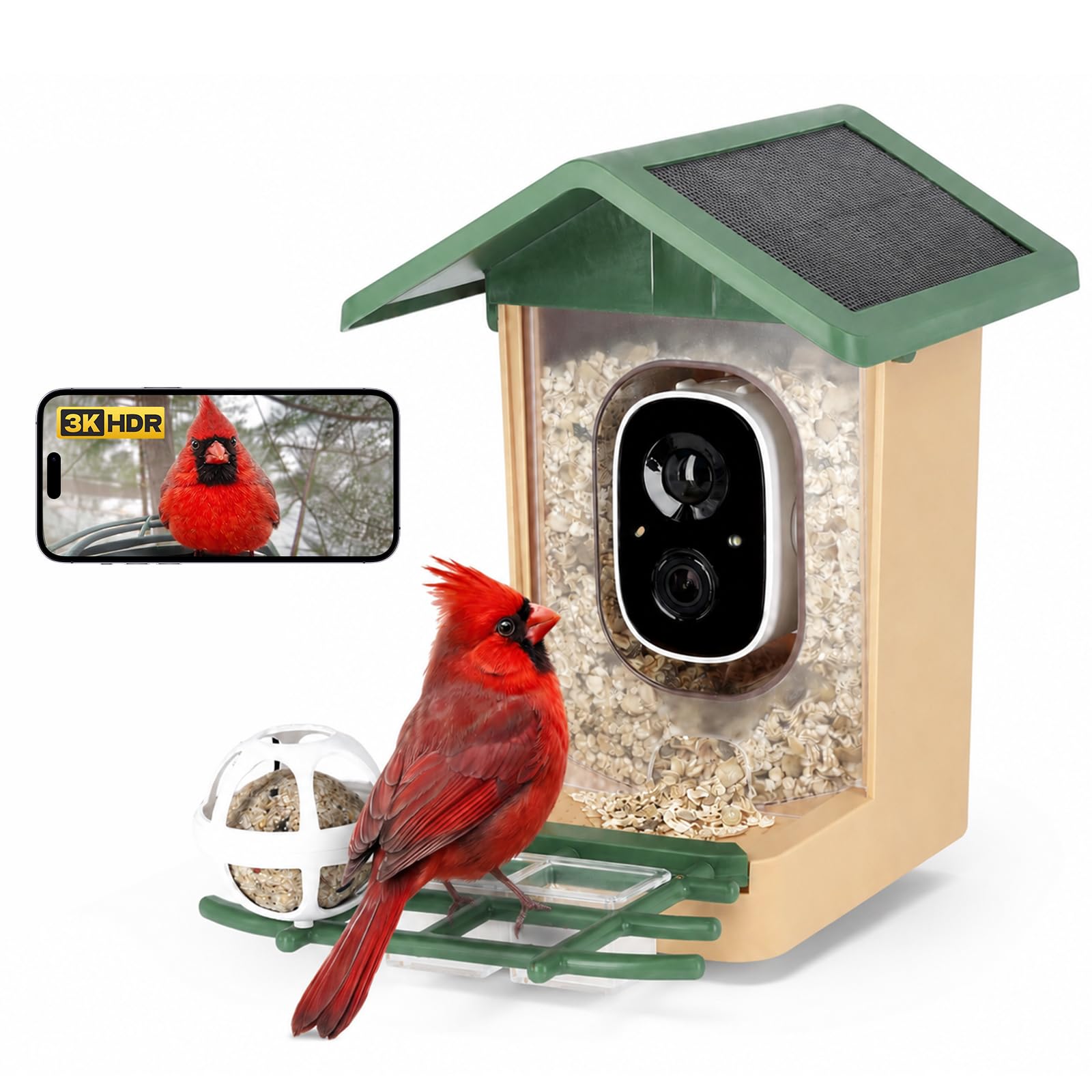 Rollei Mangiatoia per Uccelli Intelligente con Telecamera 3K Smart Bird Feeder da Esterno con Pannello Solare AI Identificazione di 10000 Uccelli Visione Notturna a Colori Notifica Istantanea IP65