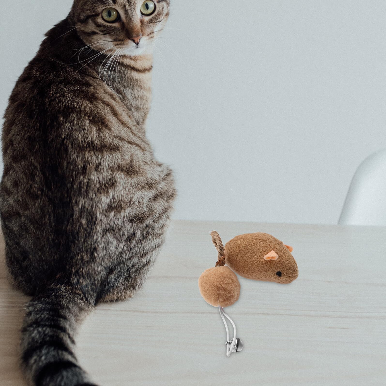 Homoyoyo 6 Pièces Lot de Jouets Souris Peluche pour Chatons avec Cloches Intérieur Stimule Instinct de Chasse Blanc Rose Marron à Griffer pour Chats Actifs