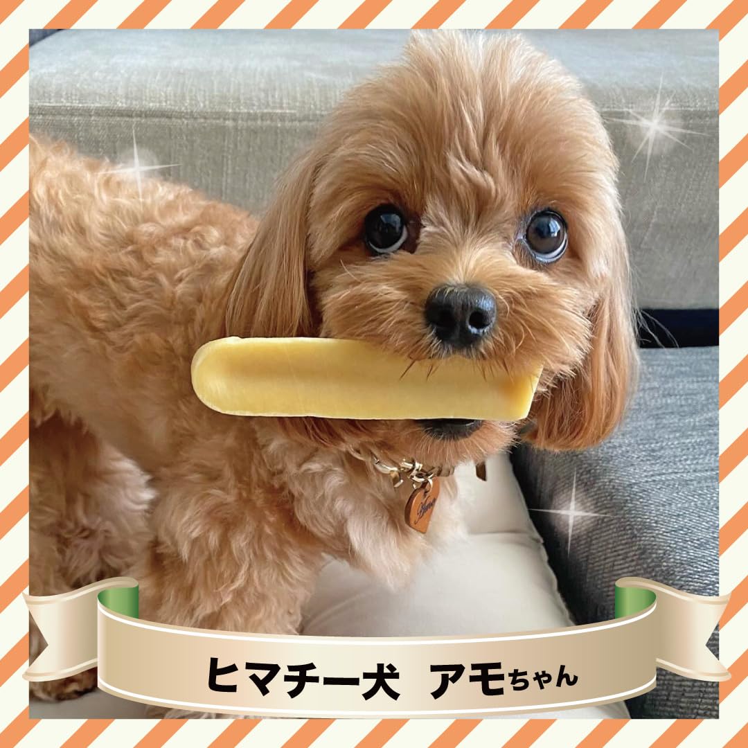 Amazon.co.jp: 正規品ヒマチー Sサイズ（単品）約30g ヒマラヤチーズ
