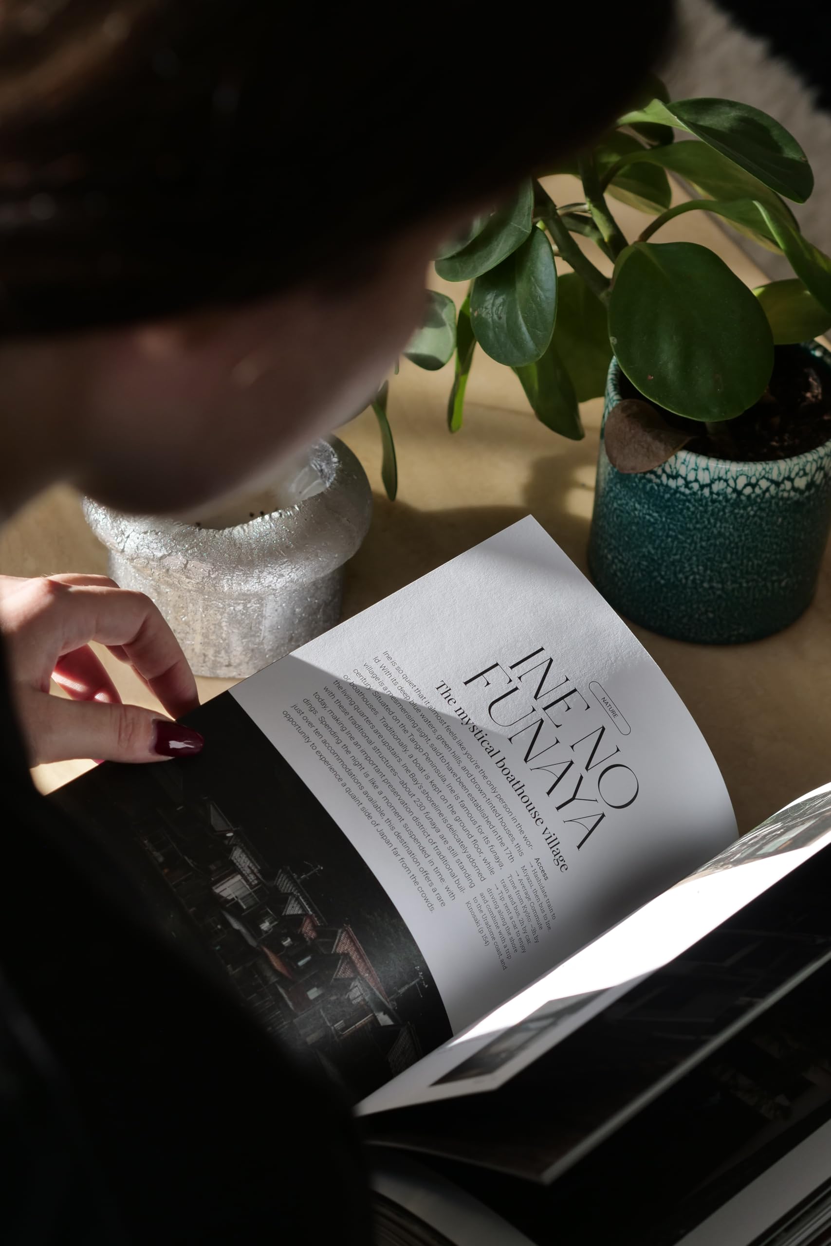 An Elevated Guidebook to Japan