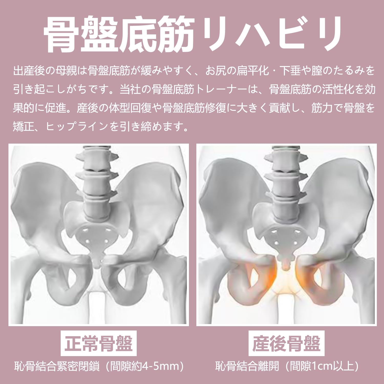 Amazon | レッグスライド 【骨盤底筋・太もも筋ト】 レーニングマシン