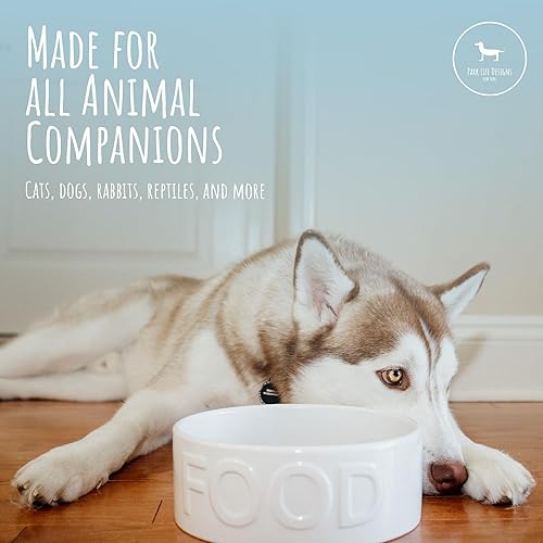Miniatura 8 de Park Life - Cuencos de cerámica para mascotas, cuencos para alimentos y agua para perros y gatos, lindo cuenco para mascotas para perros y gatos