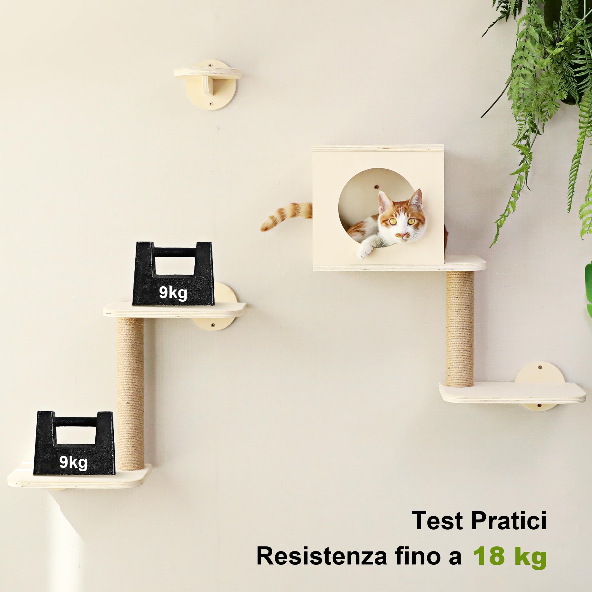 FUKUMARU Mensole da Parete per Gatti, Set Arrampicata per Gatti da Parete di 5 Pezzi, Piattaforme in Legno Stabile, Amaca, Casetta, Scalini e Tiragraffi Integrato - Design Moderno Beige