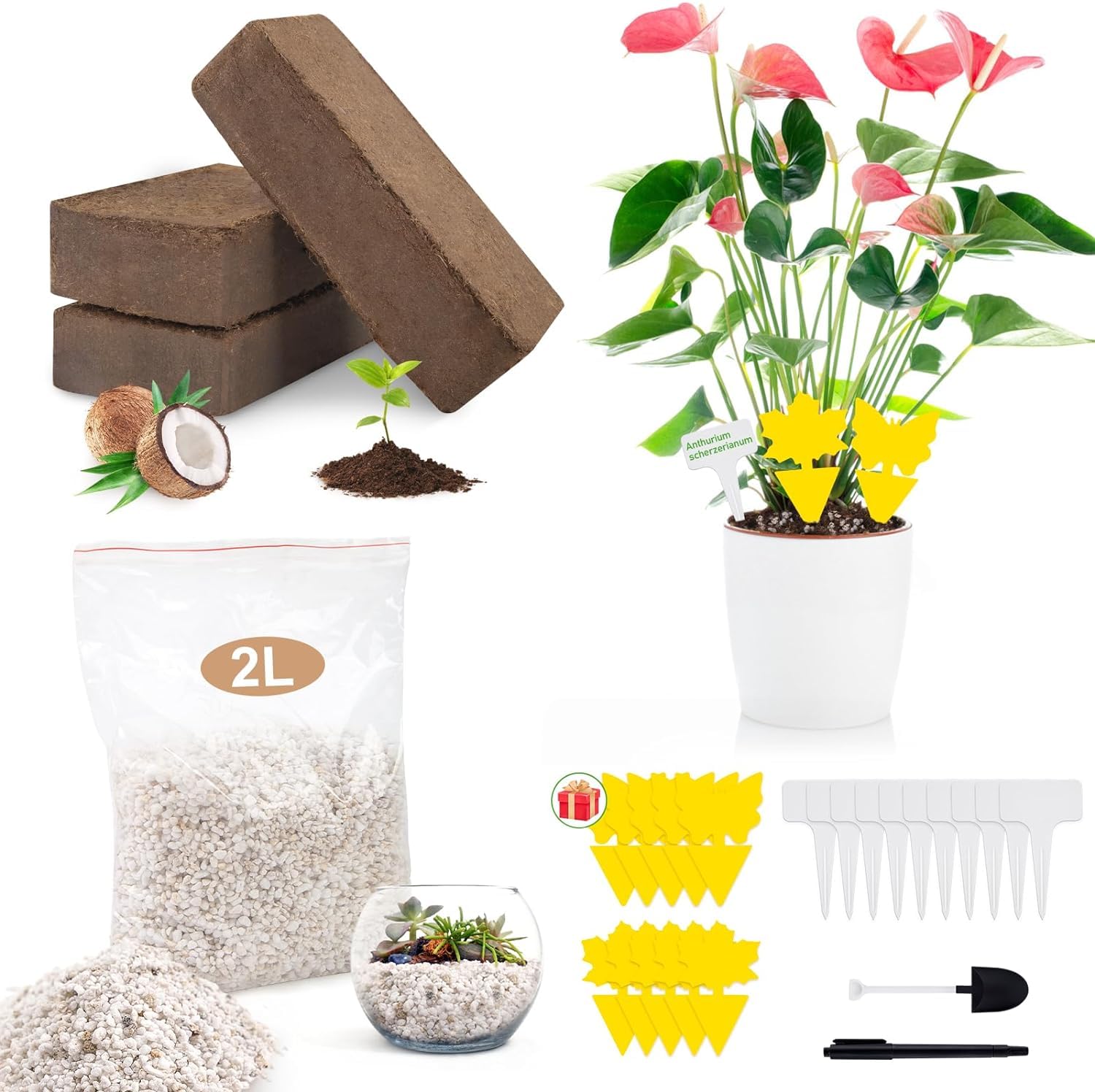 Perlite Volcanique 3L GebEarth - Drainage Et Aération Pour Plantes Succulentes, Orchidées & Carnivores
