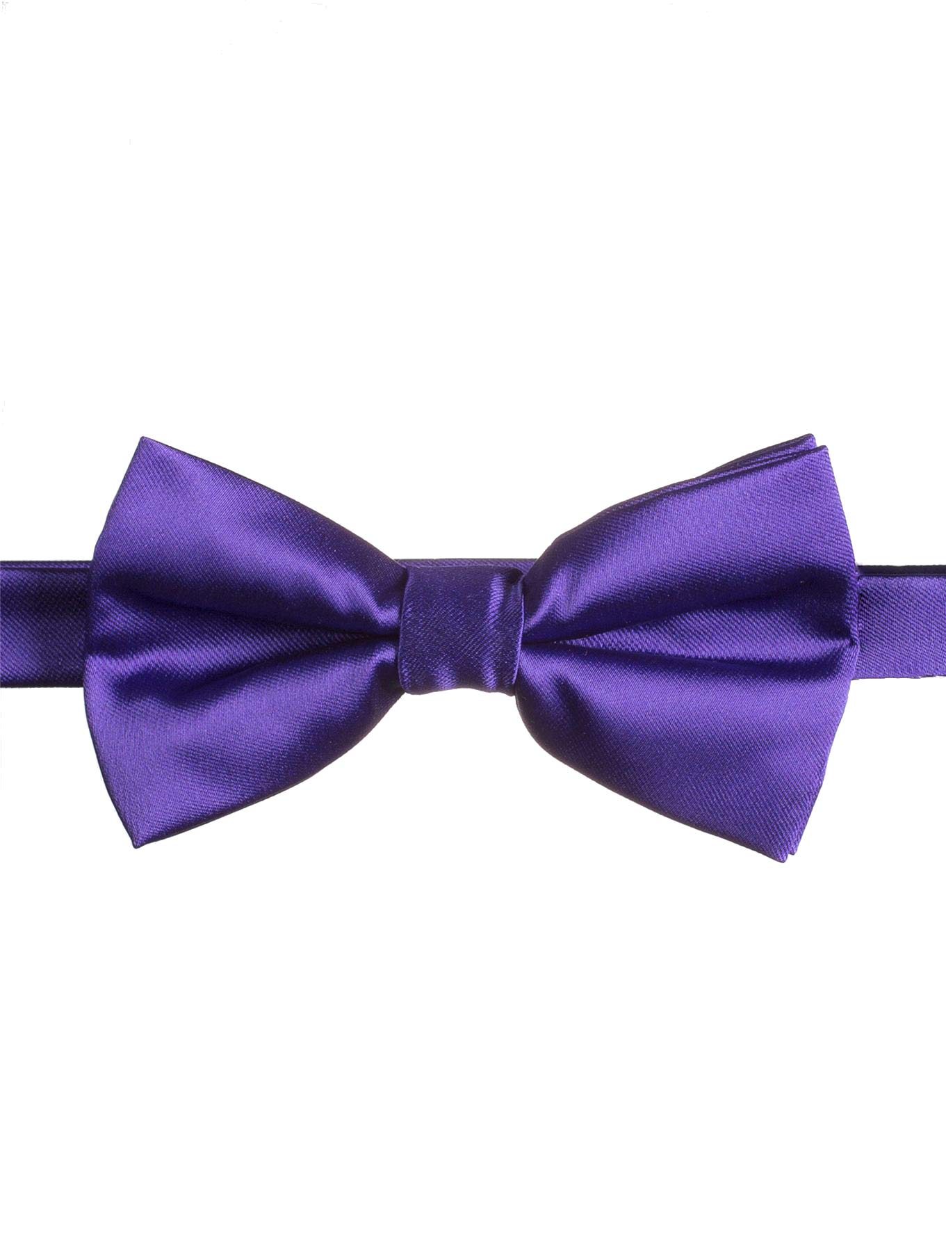 Paisley of London Boys Banded Dickie Bow Tie - Purple